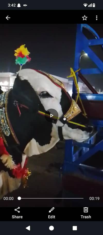 qubani ka Lia janwar