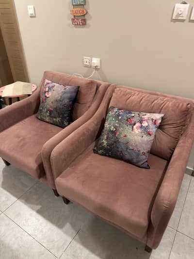 Elegant two-seater sofa set