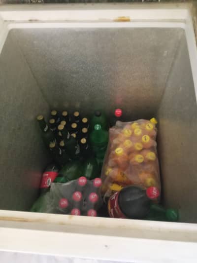 two door freezer