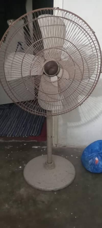 fan for sale