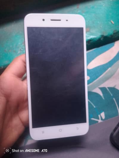 vivo y66 . pta approved  all ok ha