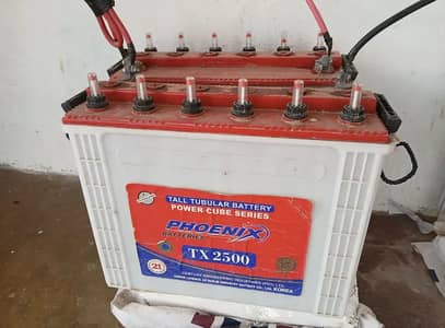 Phoenix TX 2500 Batteries