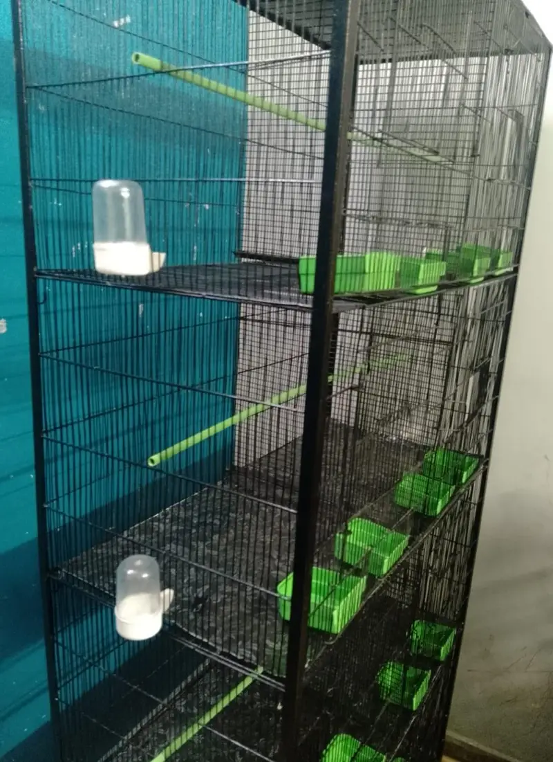 FULL IRON BIRDS CAGE (MASTER SIZE) — photo 2