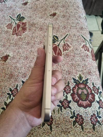 16 Pro Max Golden 512 GB