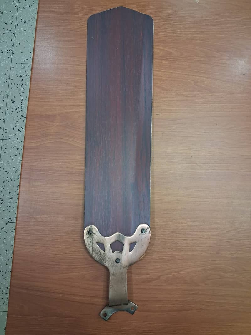 Fancy Ceiling Fan 1