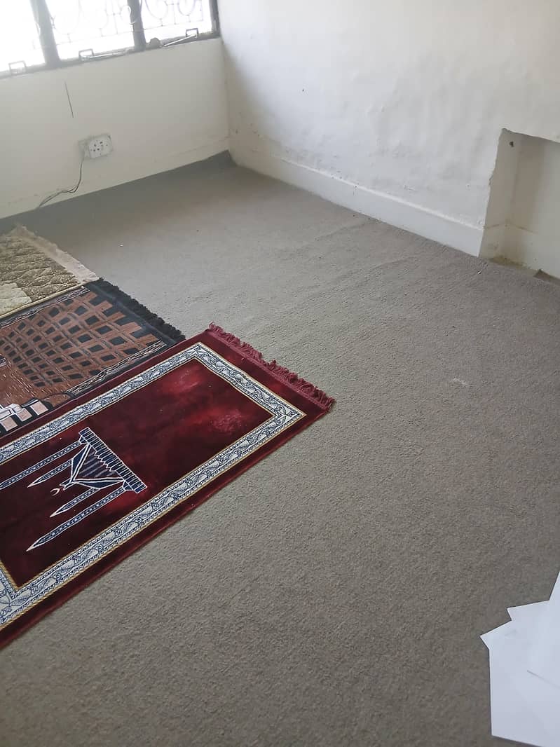 carpets 0