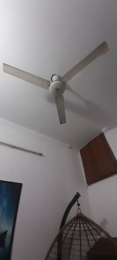 branded 10/10 quality fan for sale