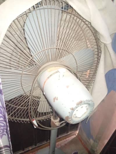 sale Karna h fan