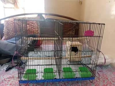 Iron Cage in USED