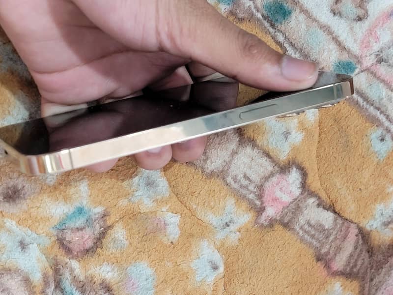 iphone 13 pro 1