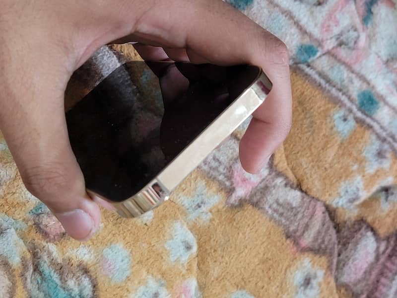 iphone 13 pro 2