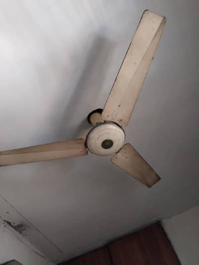 fan for sale