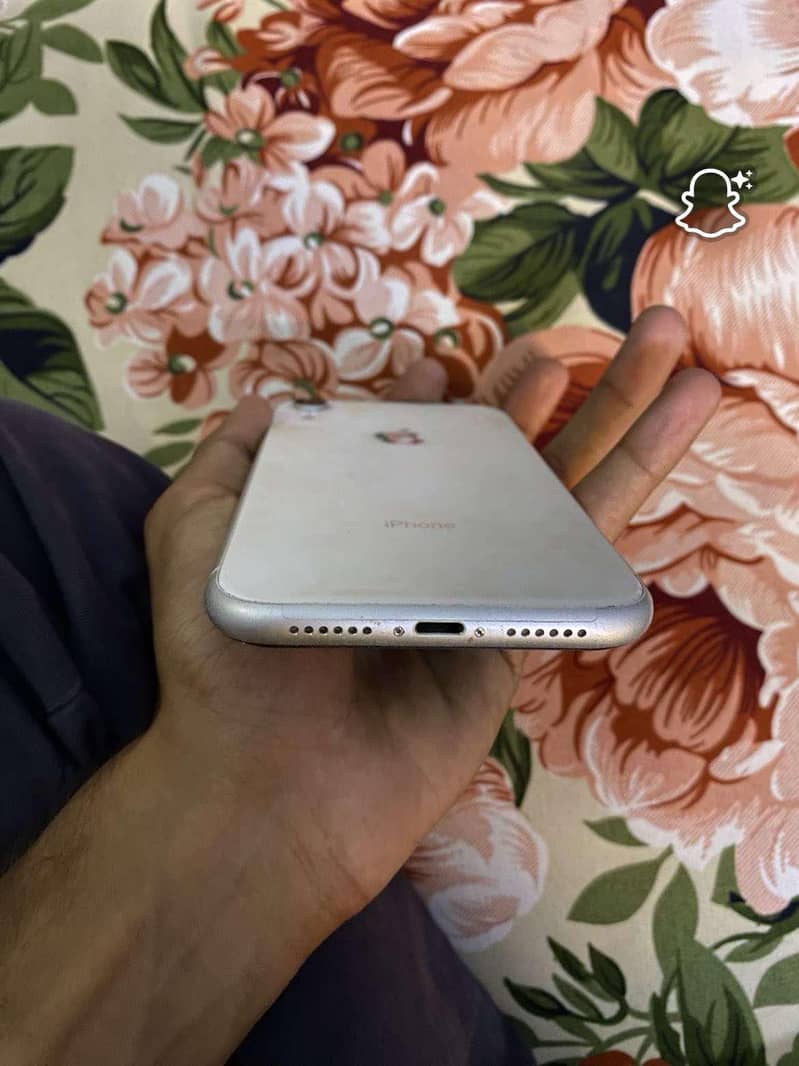 iphone xr 1