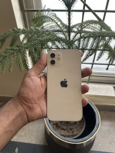 iPhone 12 Non PTA 256GB – 78% Battery