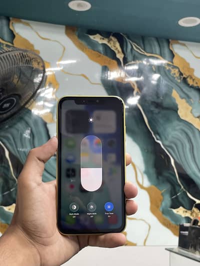iPhone 11 Factory unlock