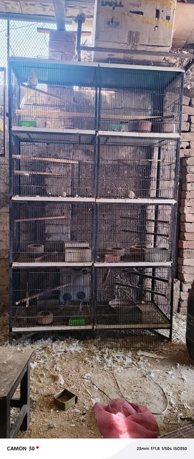 8 portion Heavy iron cage
