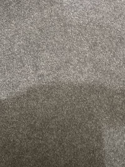 Carpet with foam lining and skirtings