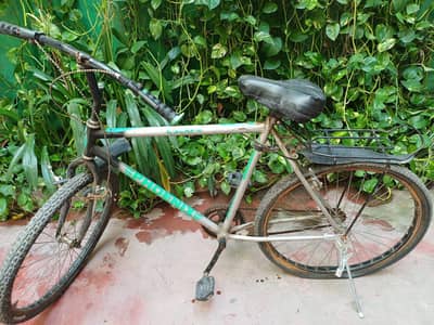 cycle