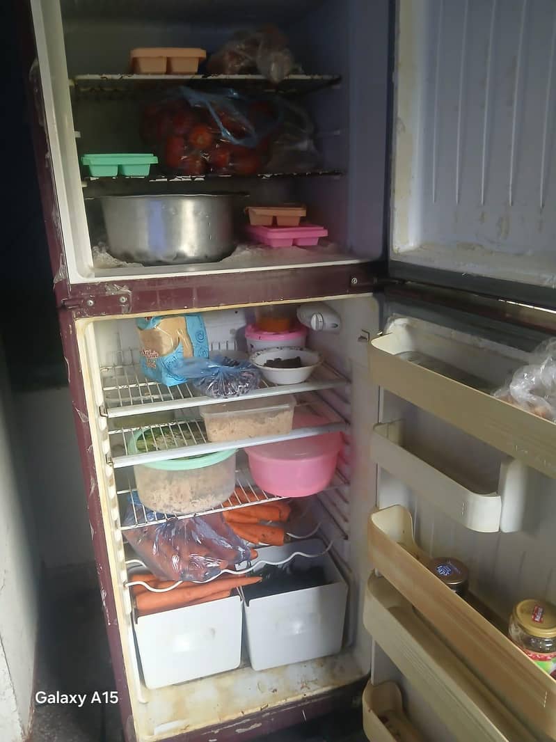 Orient Fridge 2