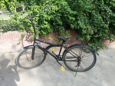 Cycle Good Condition Bicycle 03236603594