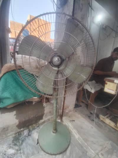 sofi fan