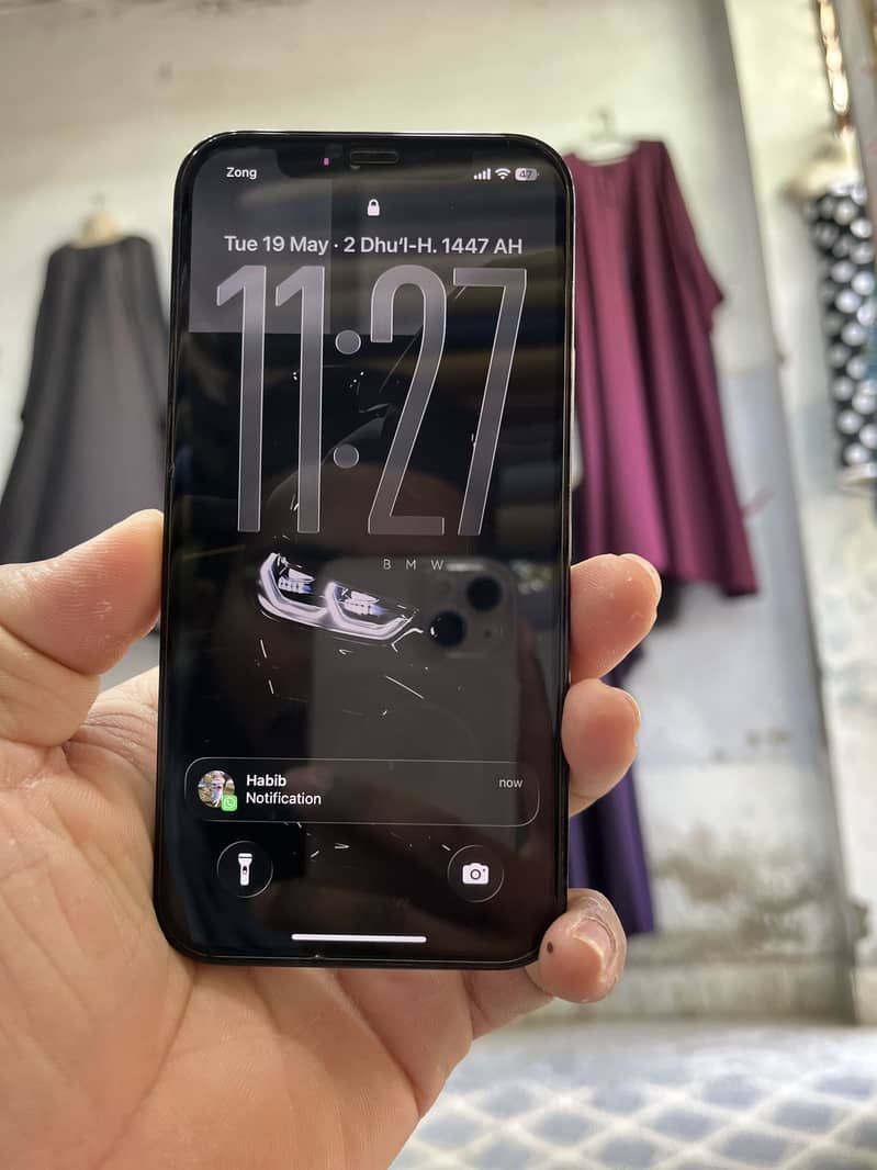 12 pro 1