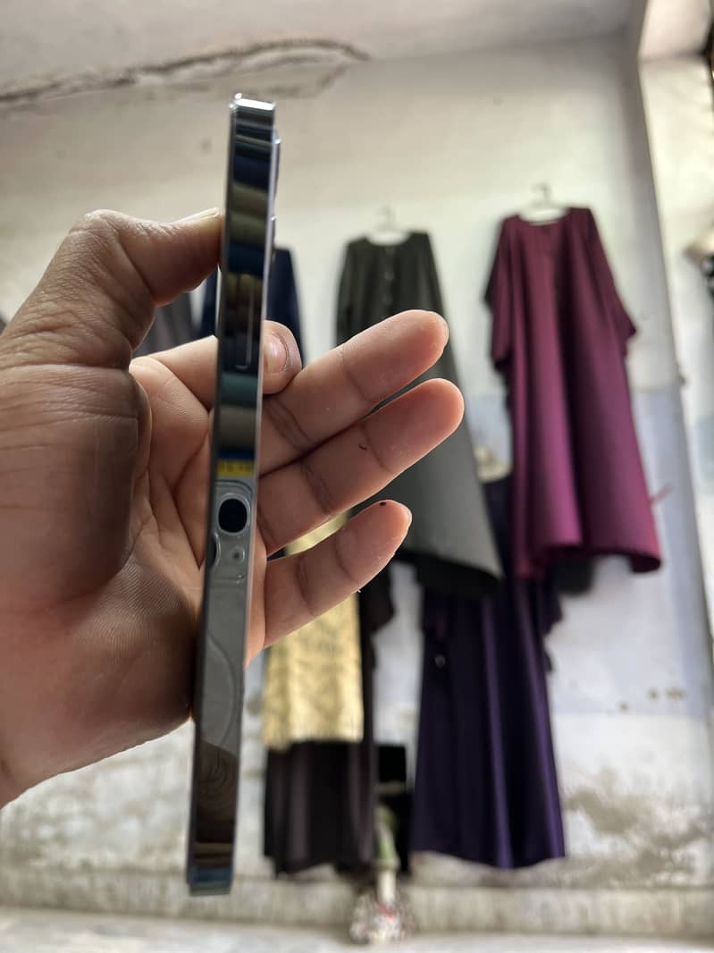 12 pro 2