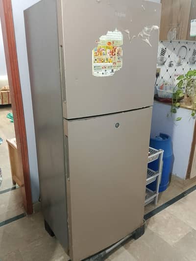 haeir fridge medium size