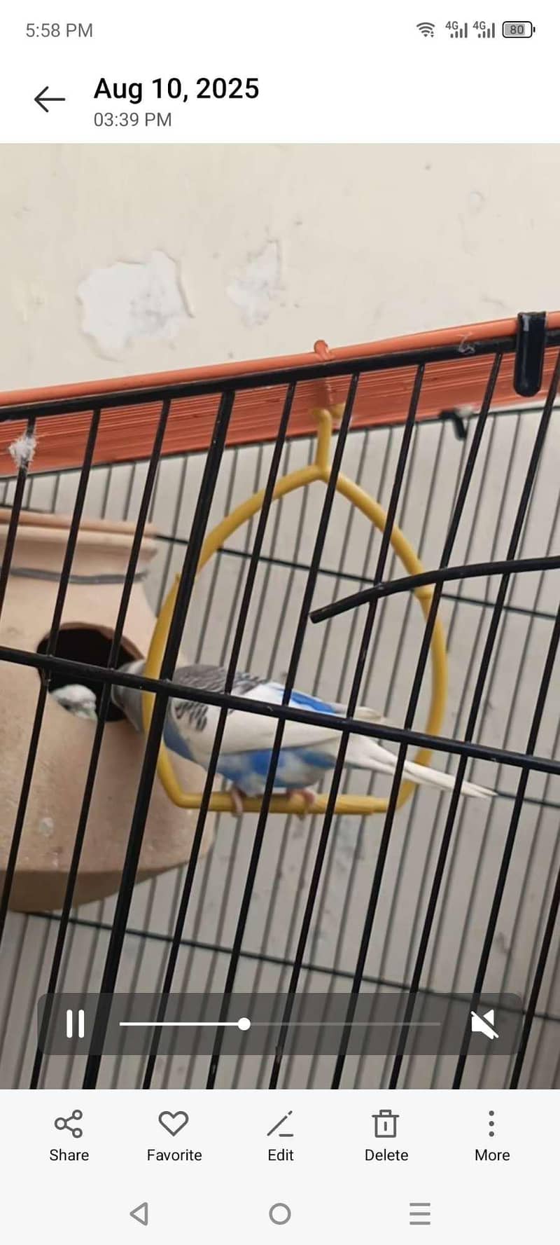only cage 1