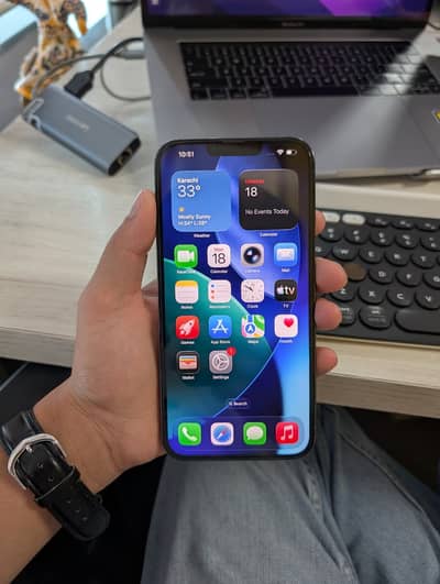 Apple iPhone 13 Pro Max