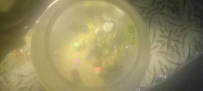 fish bowl