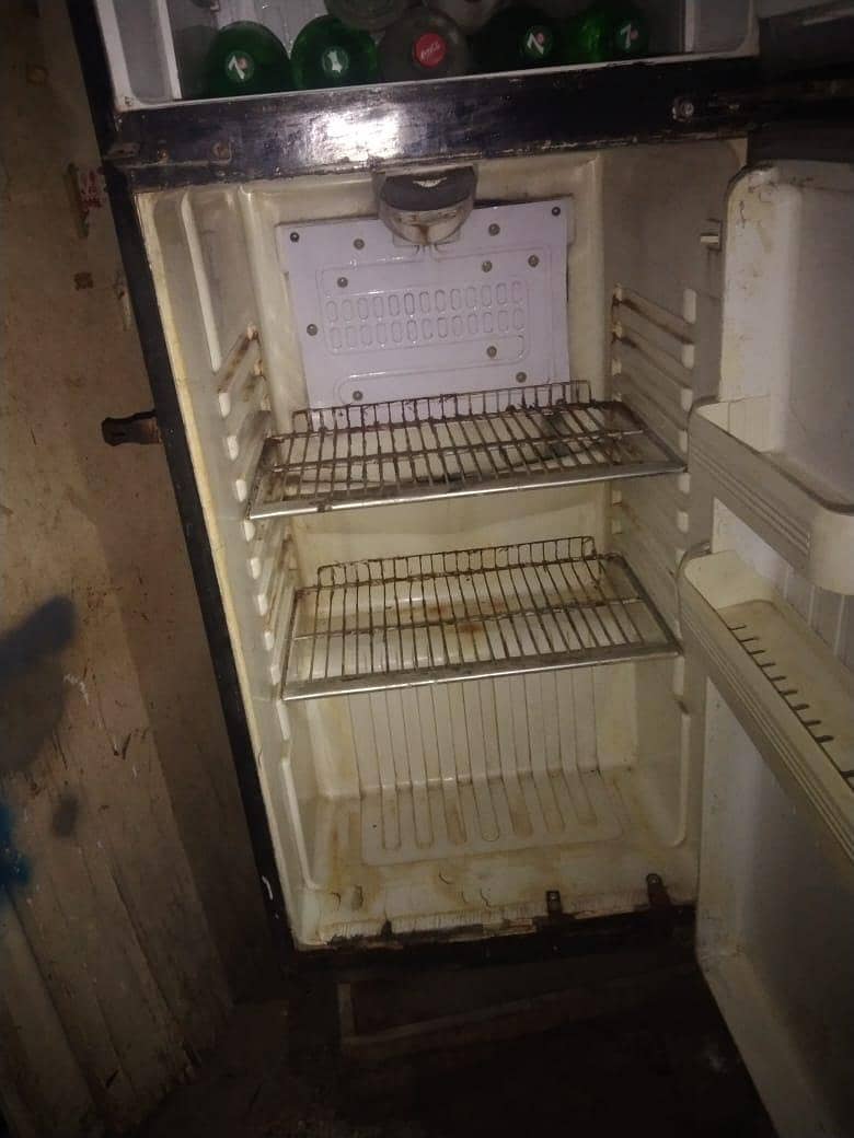 fridge orient 1