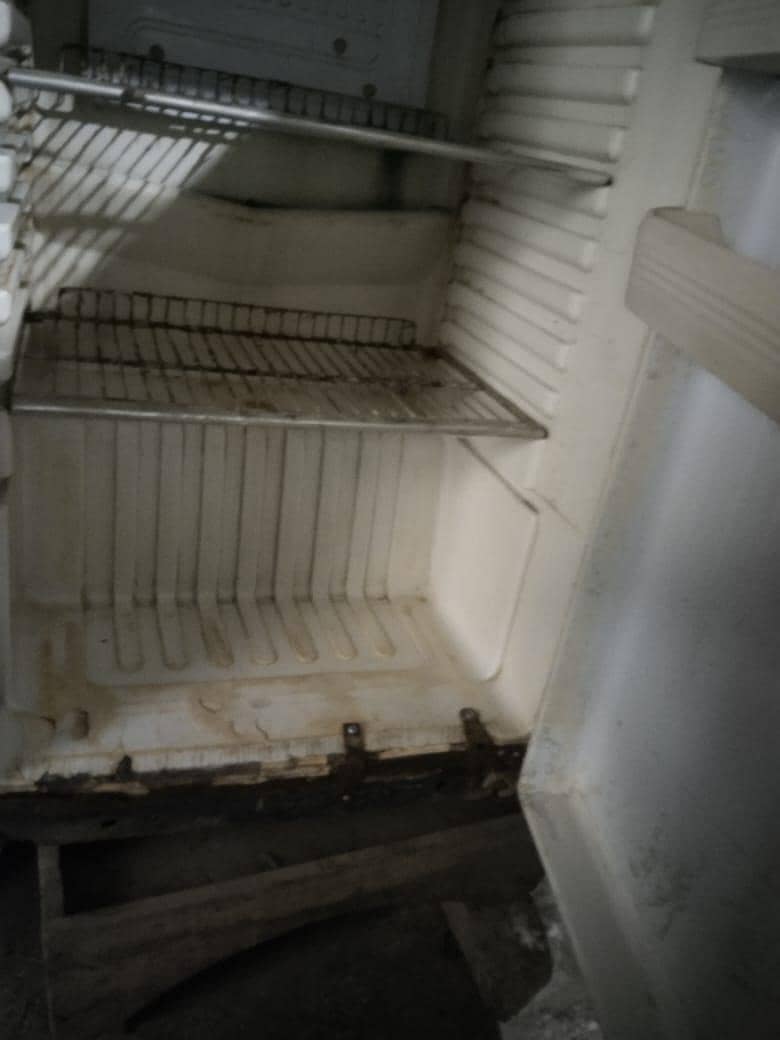 fridge orient 8