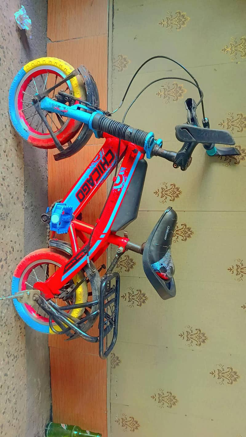 bady cycle 2