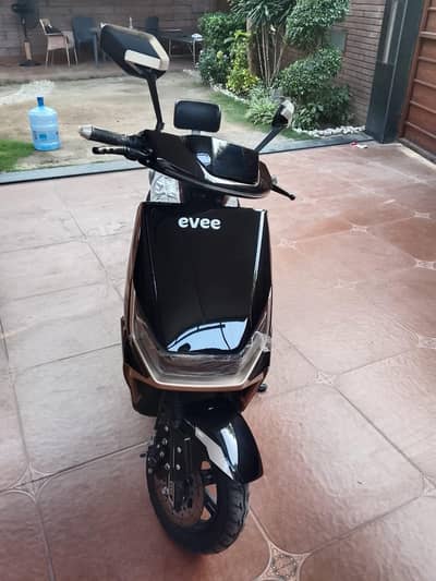 eve gen z