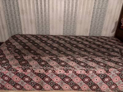 Sofa Cum Bed (buy 1 get one free)