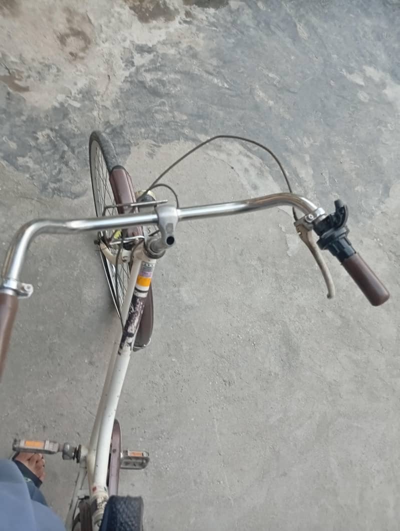 Fiona cycle 3
