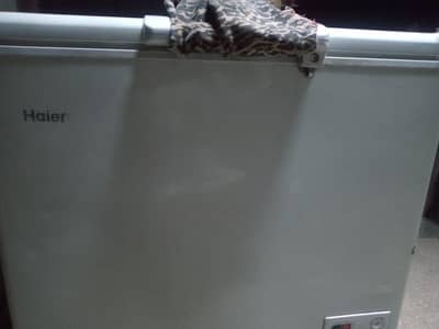 Haier Freezer
