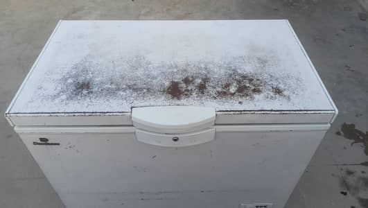 Dawlance deep freezer big size,single door
