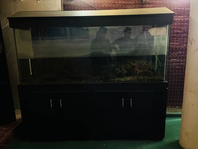 Fish Aquarium full sized