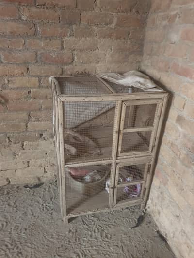 Strong Cage