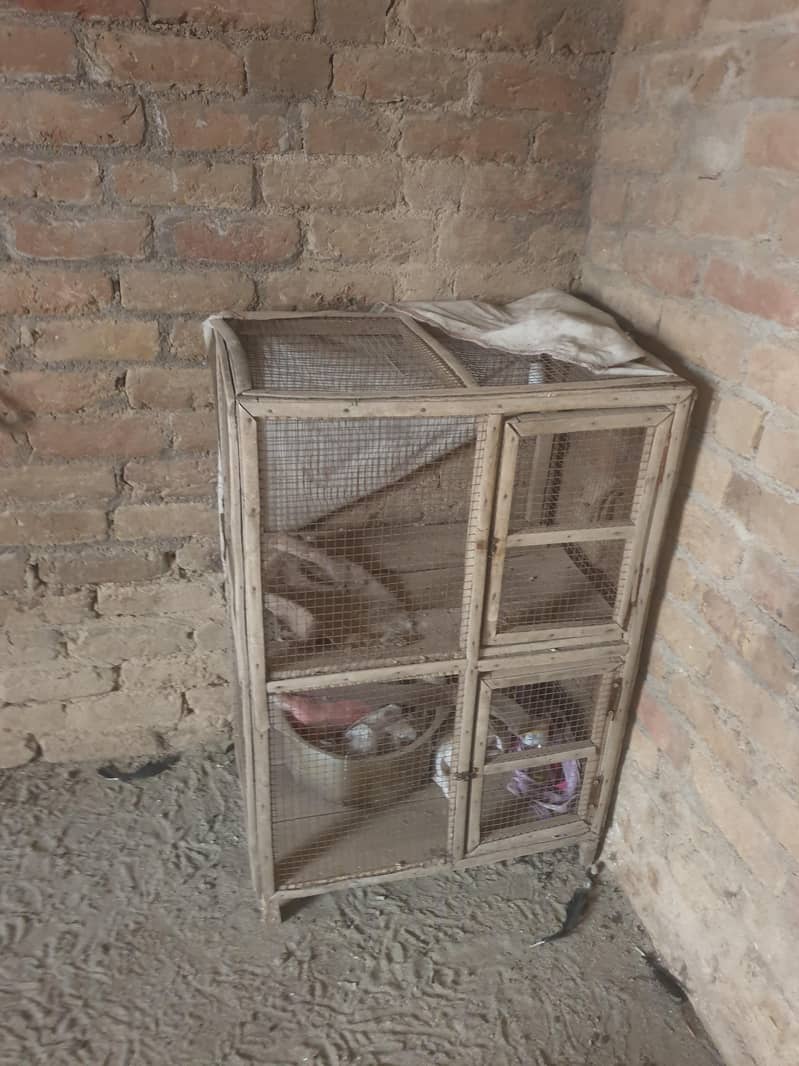 Strong Cage 0
