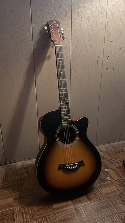 Swift Horse Brand New Acoustic Guitar