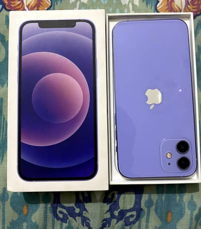 i phone 12