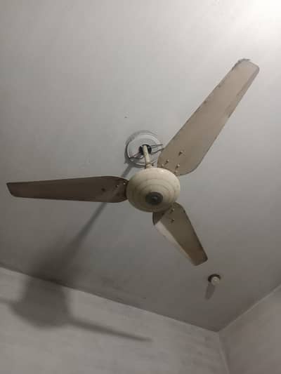 ceiling fans for sale