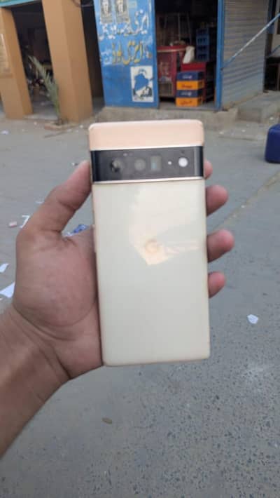 Argunt for sale