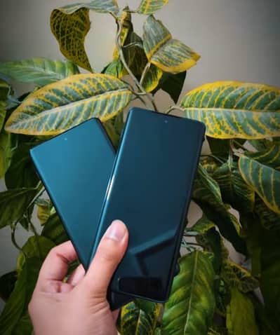 Motorola Edge 2024