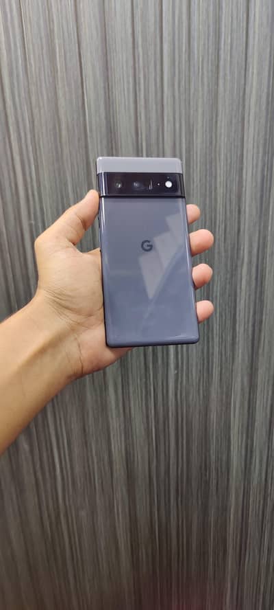 google pixel 6 pro Pta approved