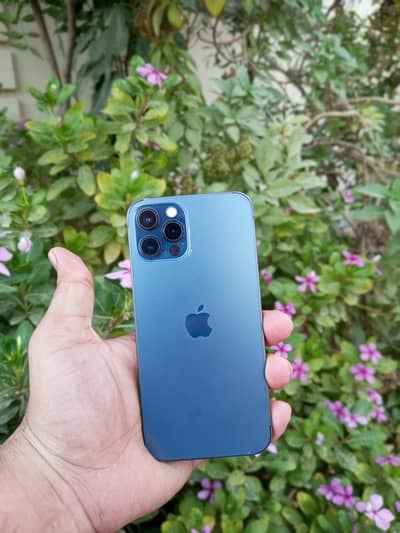 Iphone 12 pro PTA 256 GB all ok