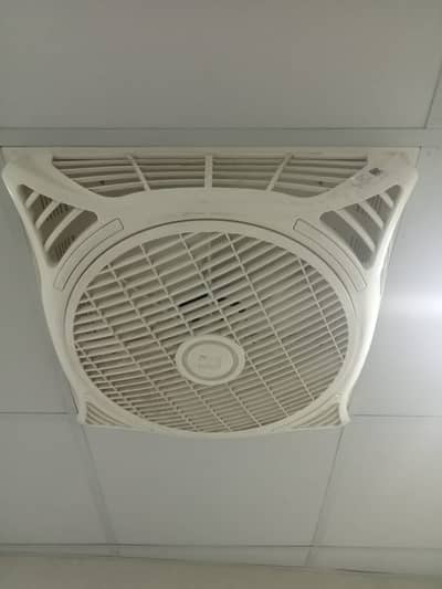 Royal Fan 1/2 months used